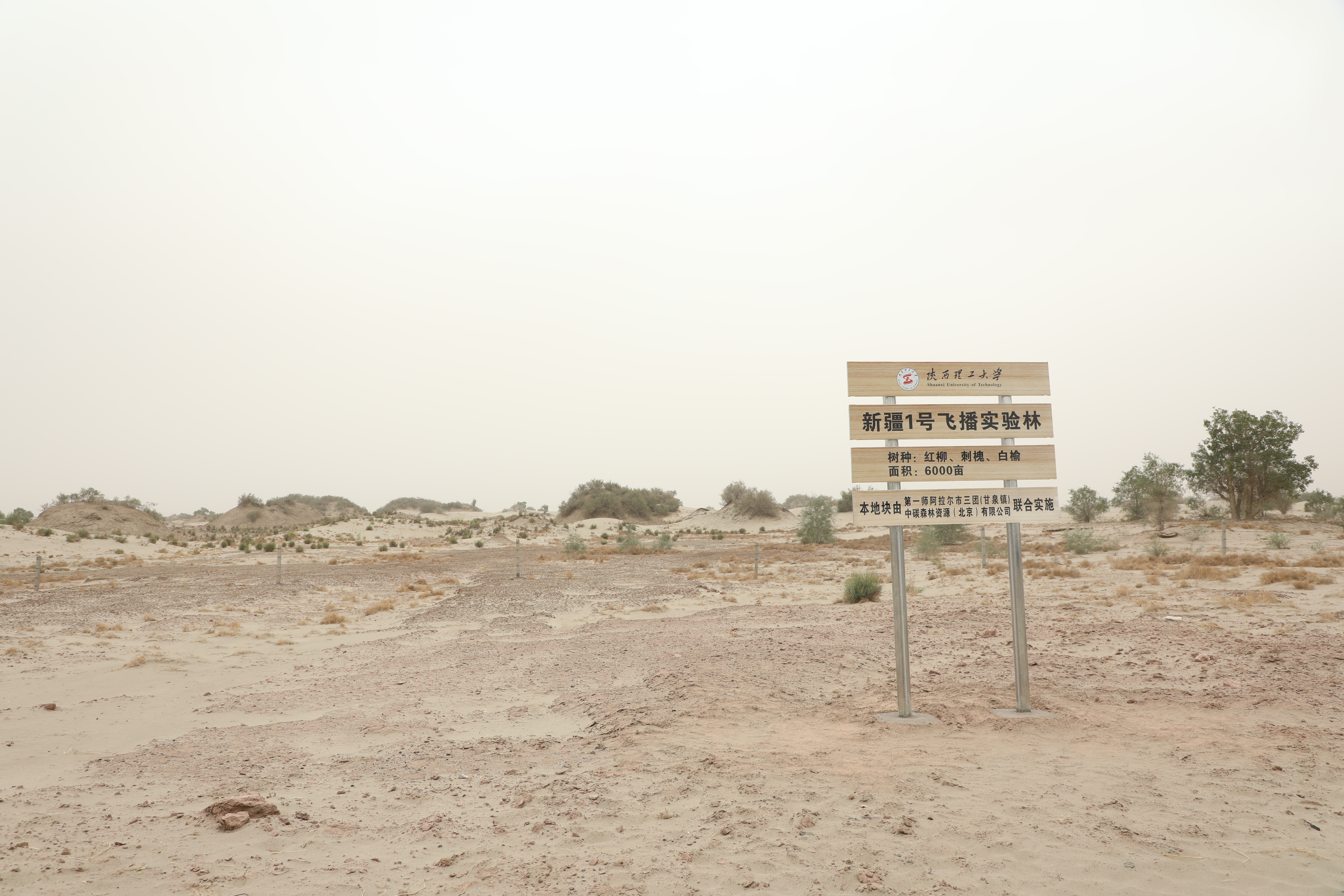 Alar City, First Division of the Corps: A new hope in ecologically fragile areas