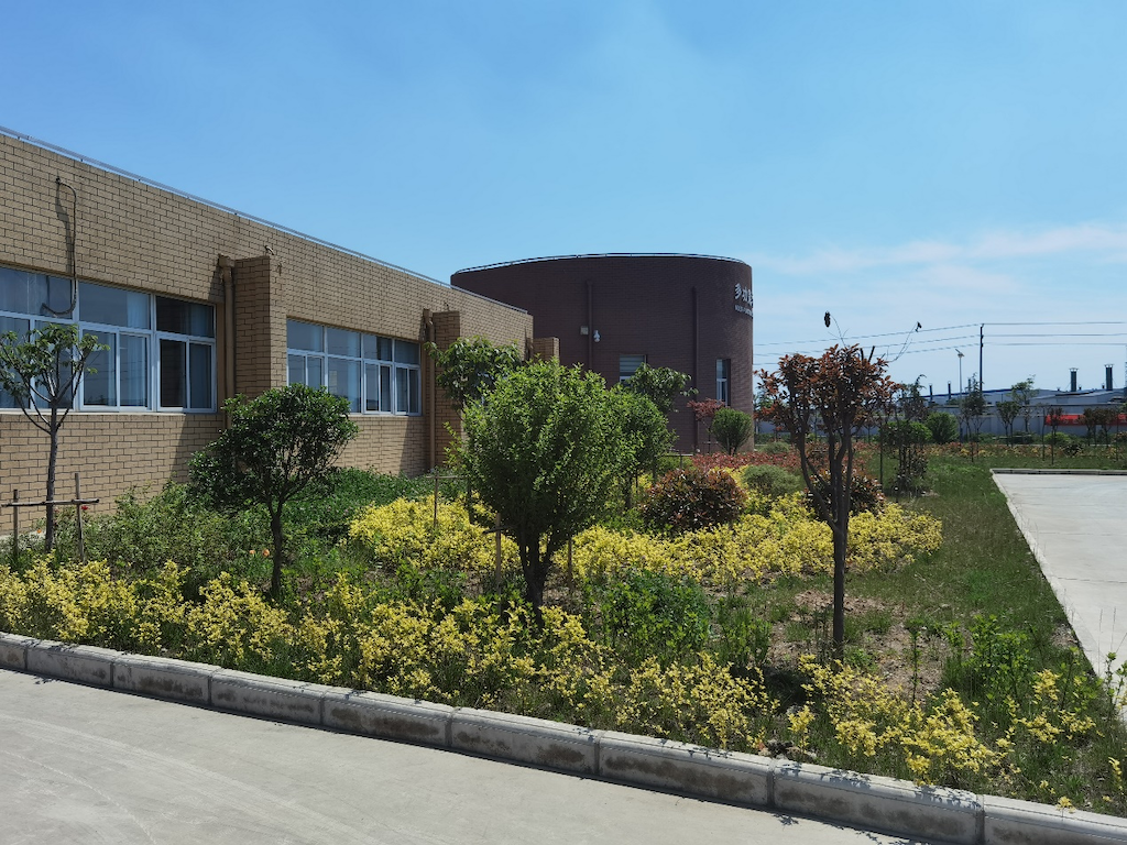 Planting trees and greening activities for factory in spring