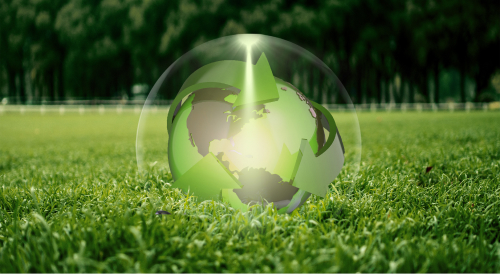 Disclosure of environmental protection information in 2021