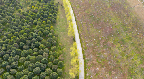 Soil and water conservation facilities in 560kt/a petroleum coke calcination project passed the acceptance
