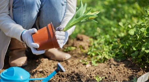 Disclosure of environmental protection information